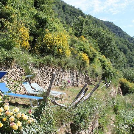 Rural House Villa Vignai Dış mekan fotoğraf