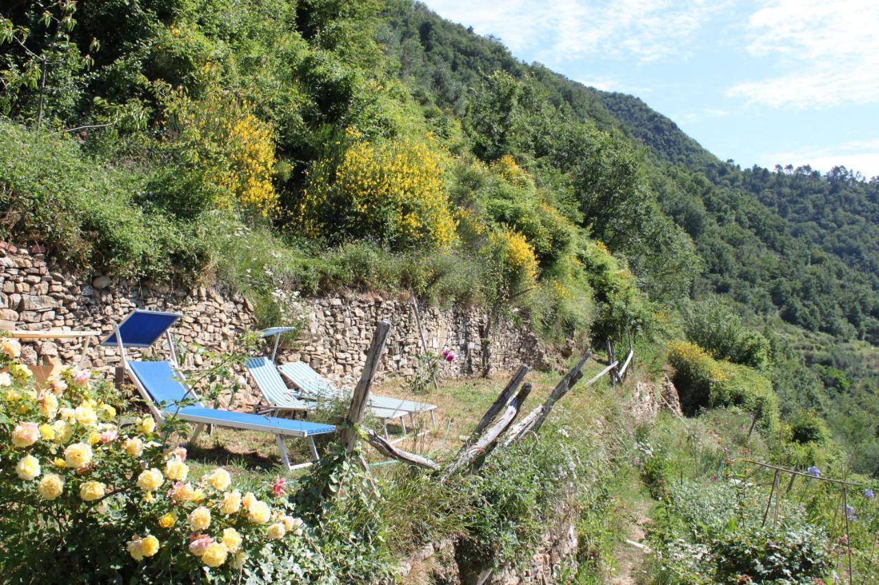 Rural House Villa Vignai Dış mekan fotoğraf