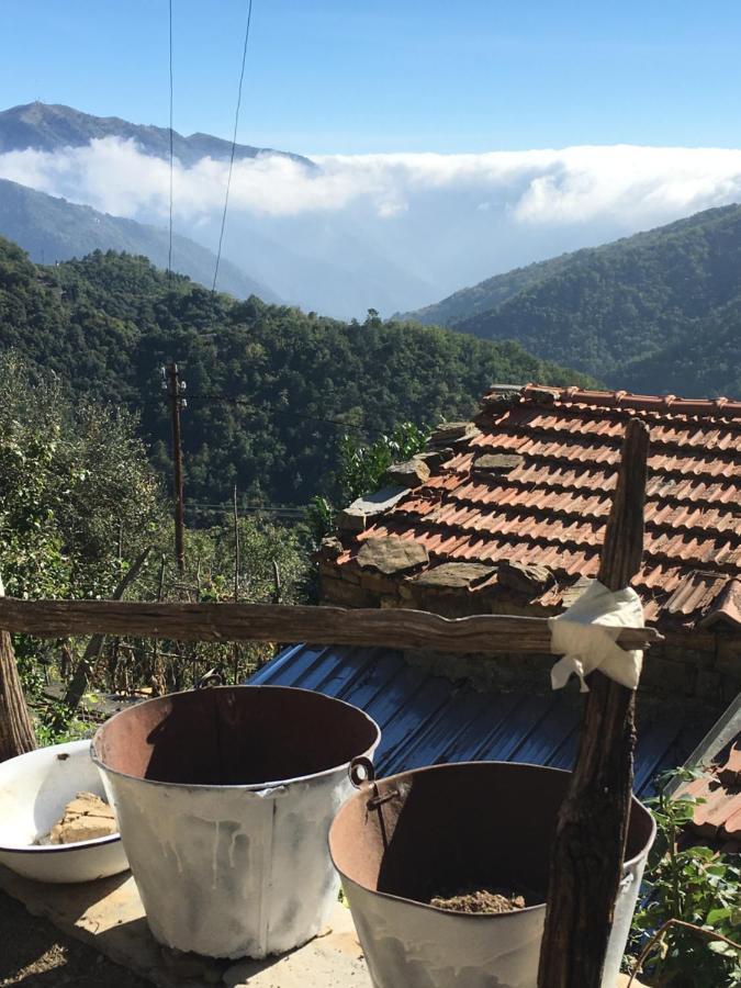 Rural House Villa Vignai Dış mekan fotoğraf
