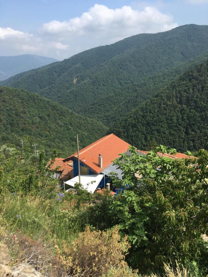 Rural House Villa Vignai Dış mekan fotoğraf